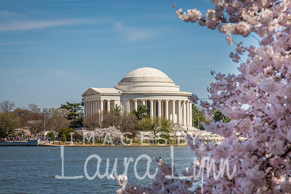 Jefferson Blooms